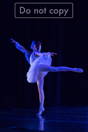 IMG_4365.jpg