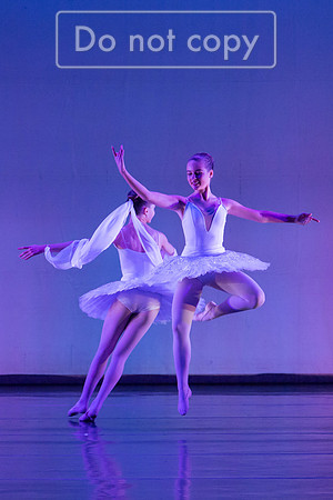 IMG_4393.jpg