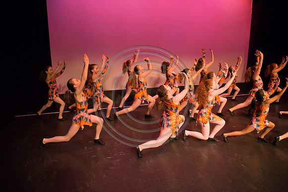 371-Cast C - Born to Dance