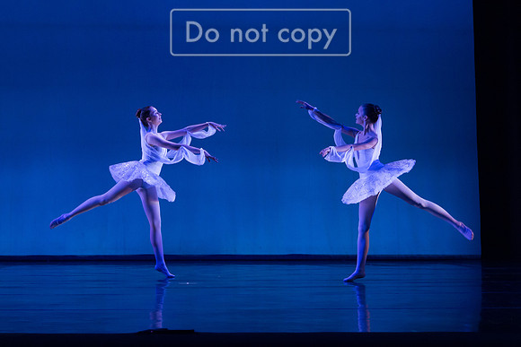 IMG_4375.jpg