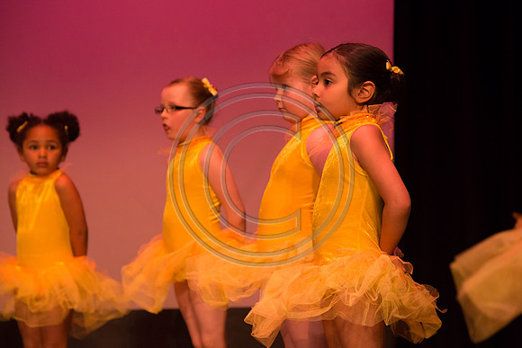 161-Cast C - Born to Dance